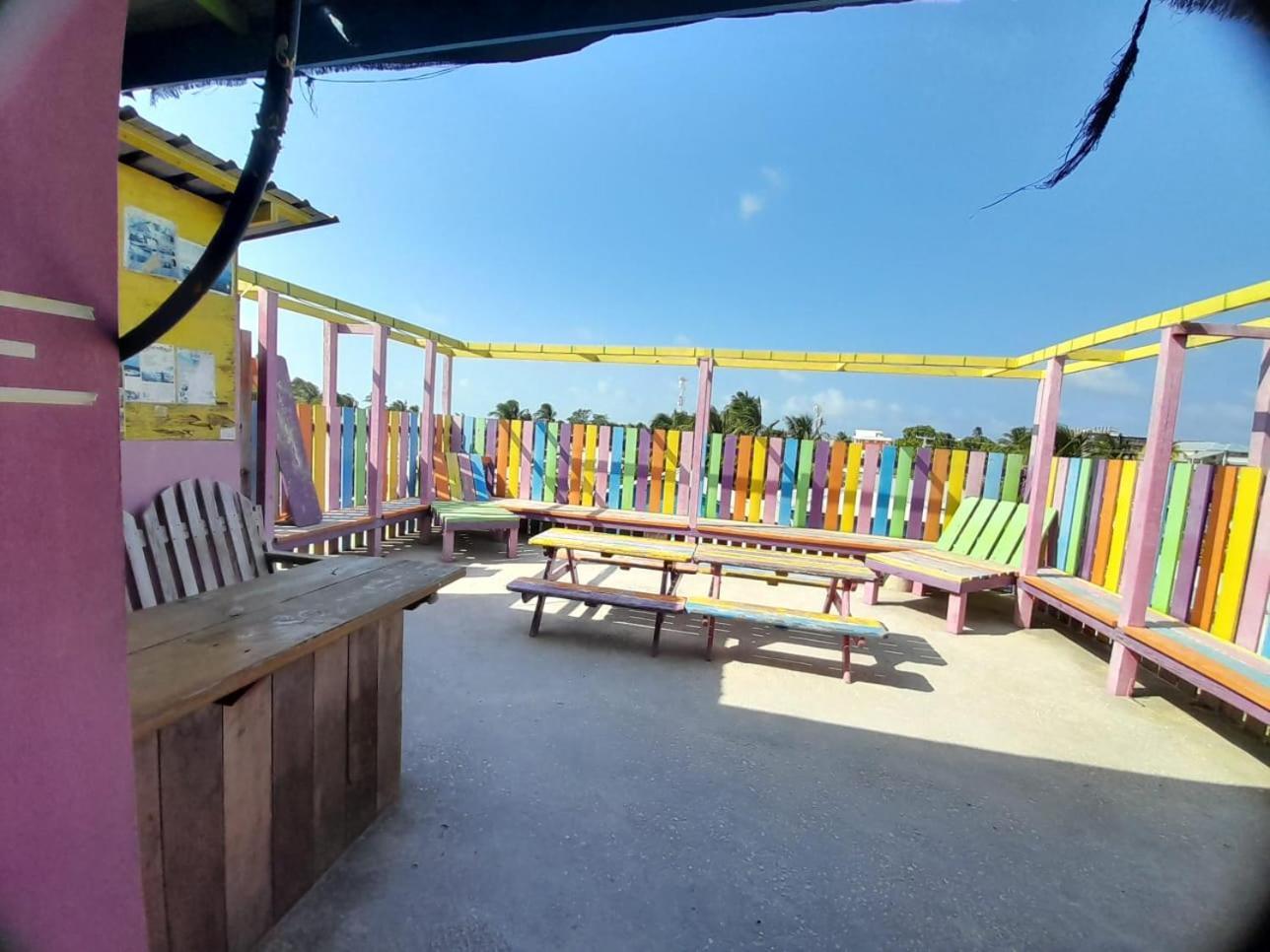 Travellers Palm Backpackers Vandrarhem Caye Caulker Exteriör bild