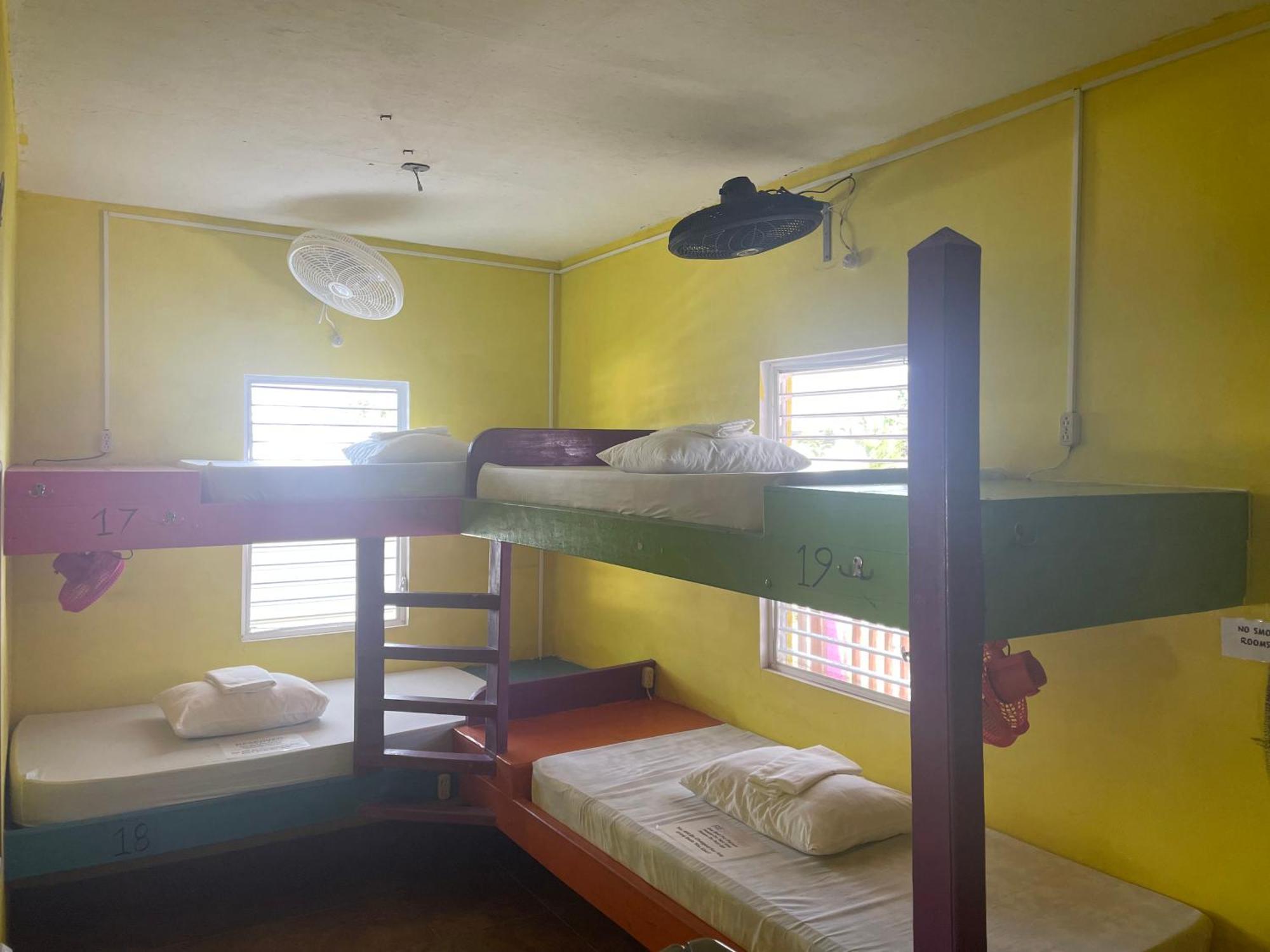 Travellers Palm Backpackers Vandrarhem Caye Caulker Exteriör bild