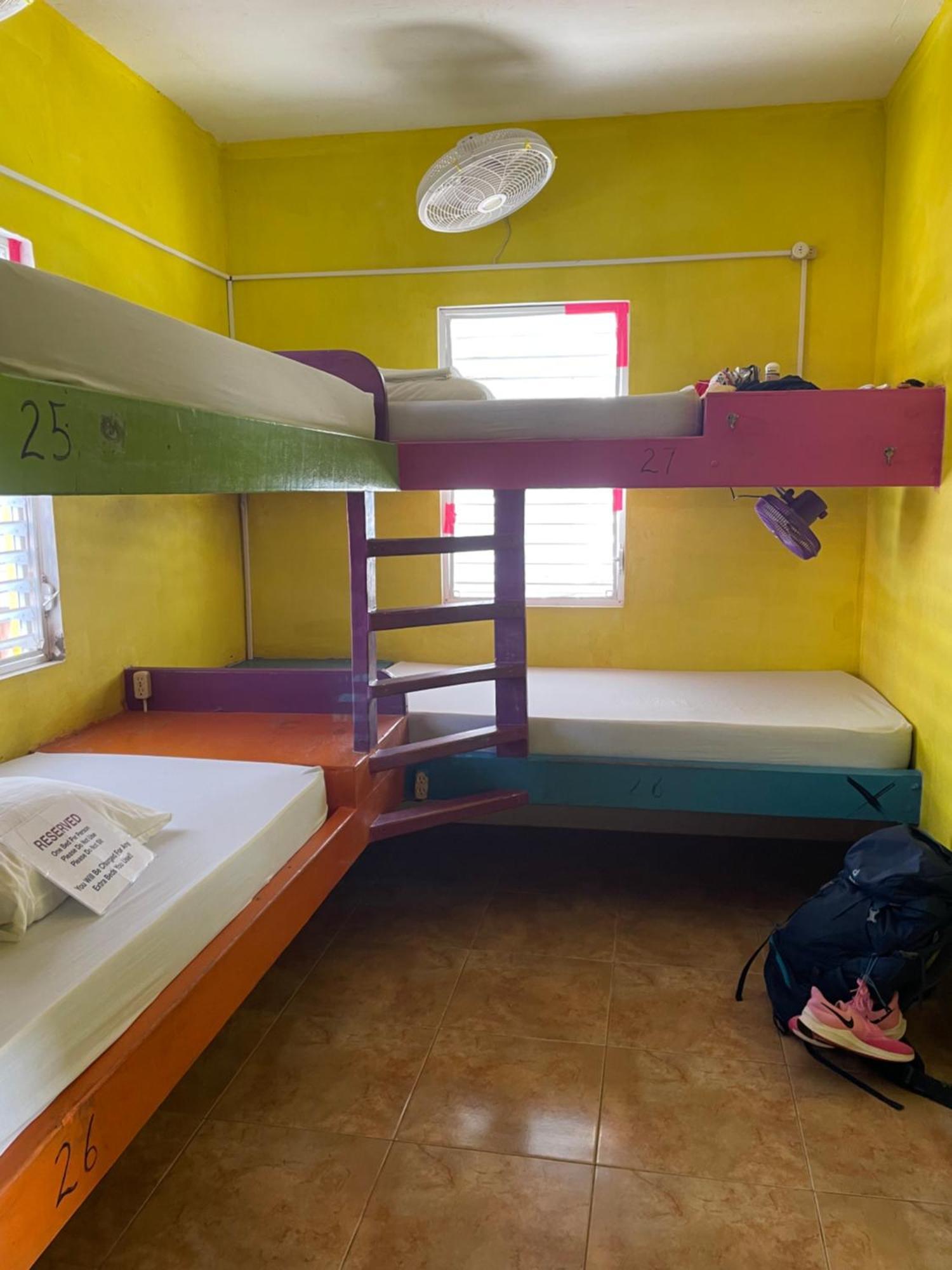 Travellers Palm Backpackers Vandrarhem Caye Caulker Exteriör bild