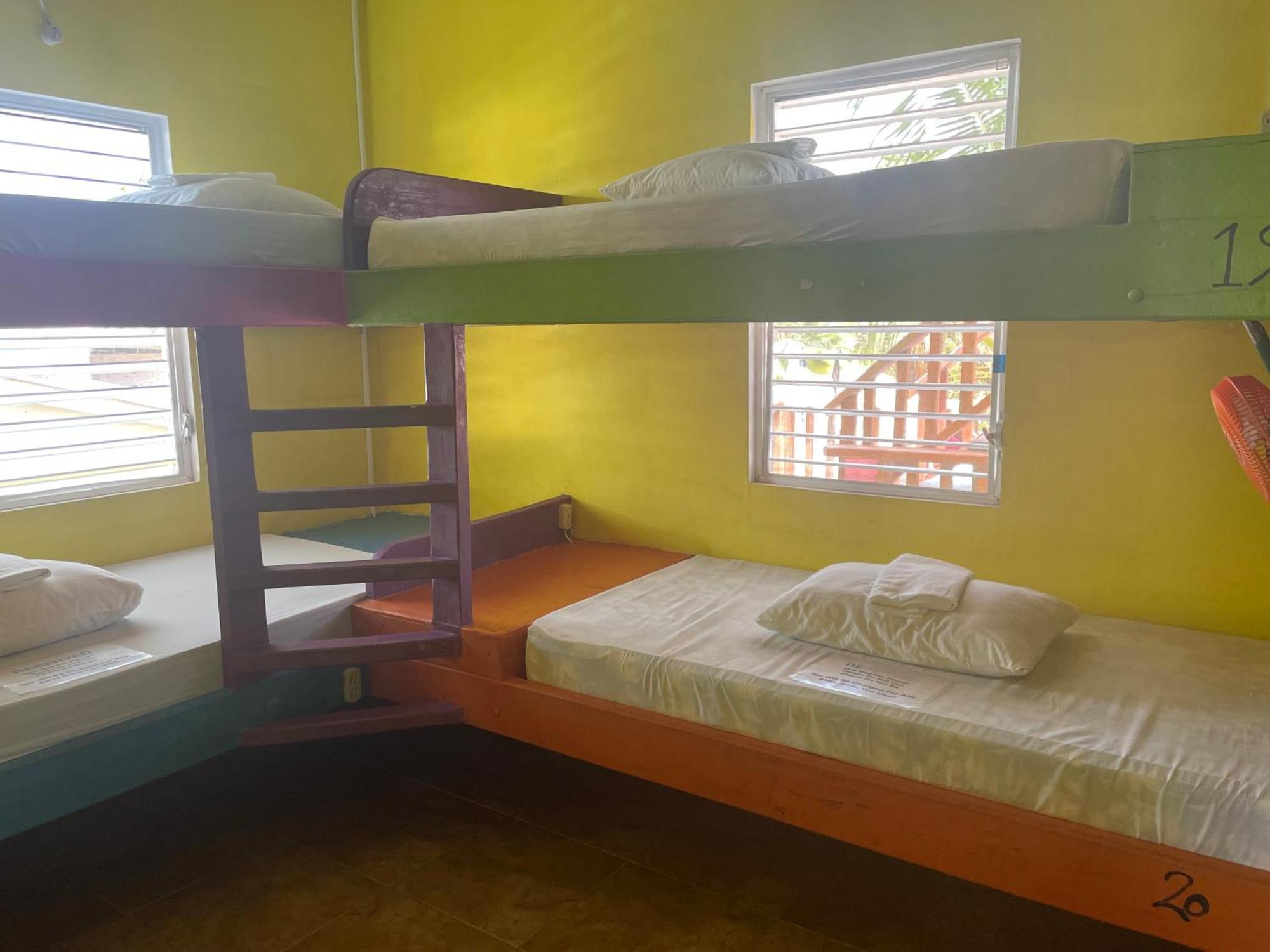 Travellers Palm Backpackers Vandrarhem Caye Caulker Exteriör bild