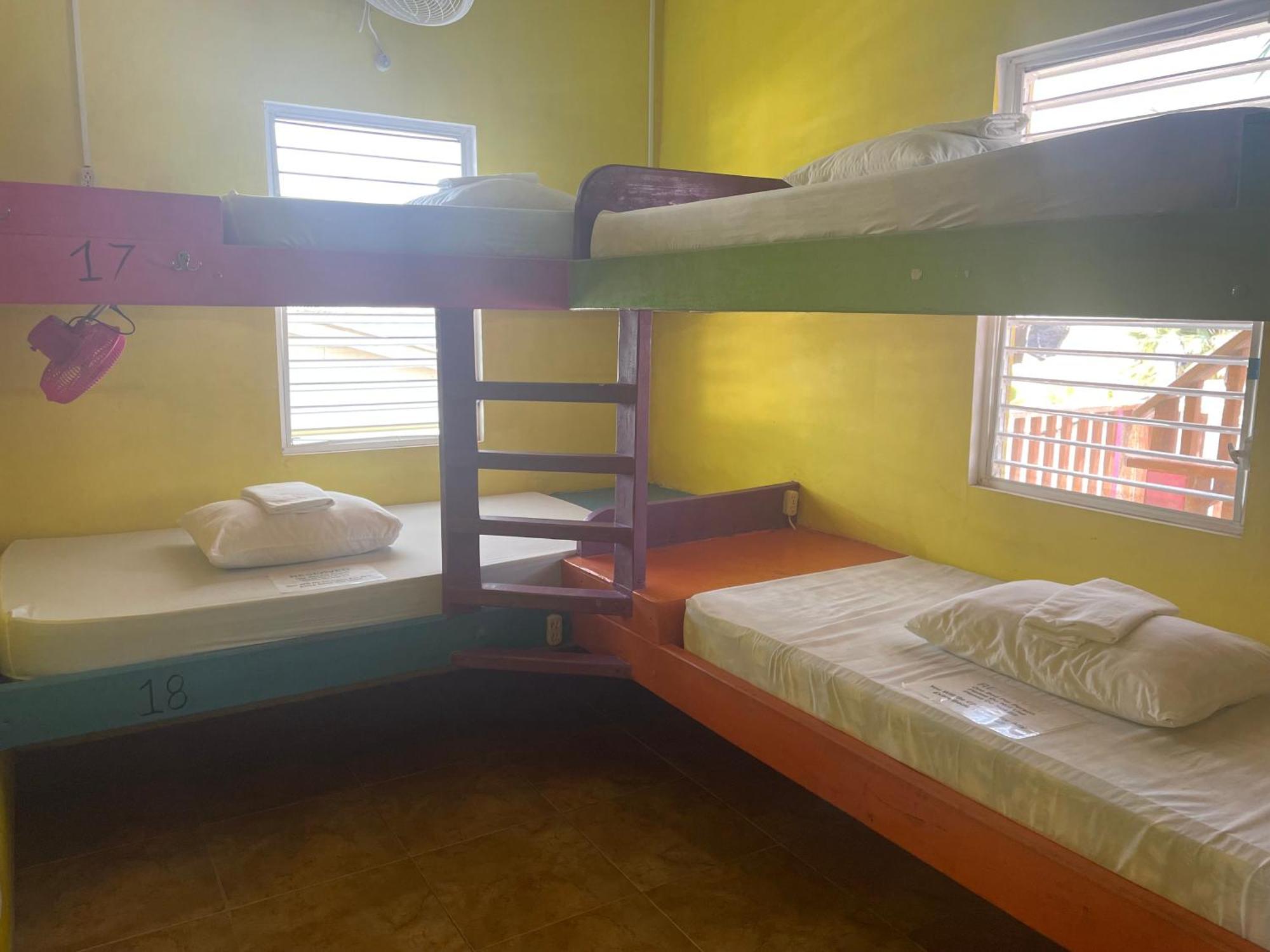 Travellers Palm Backpackers Vandrarhem Caye Caulker Exteriör bild