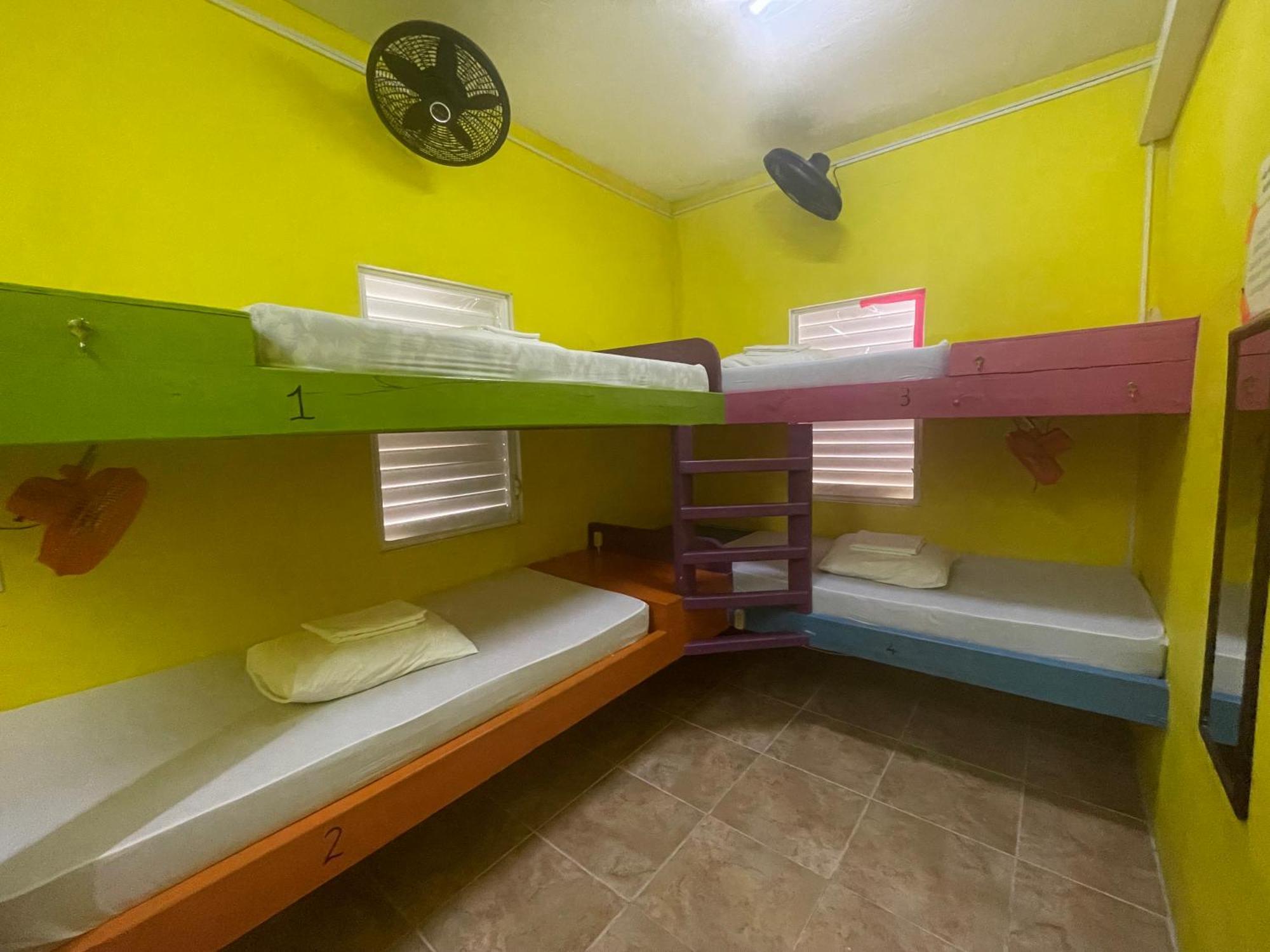 Travellers Palm Backpackers Vandrarhem Caye Caulker Exteriör bild