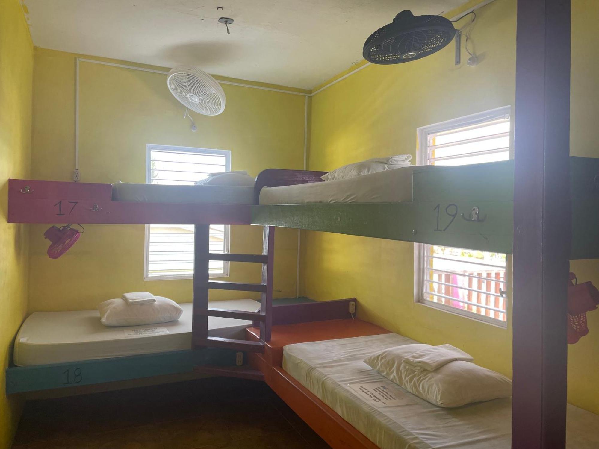 Travellers Palm Backpackers Vandrarhem Caye Caulker Exteriör bild