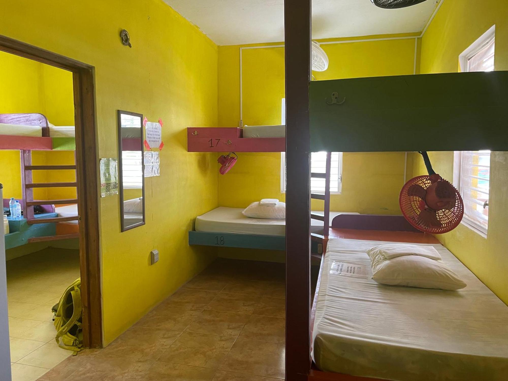 Travellers Palm Backpackers Vandrarhem Caye Caulker Exteriör bild